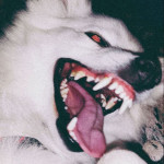 CryptikJester's Avatar