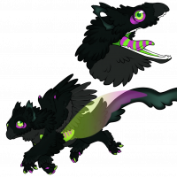 Thumbnail for OFFICIAL-GRAVENT-197