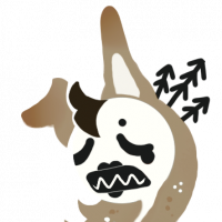 MYO-CCCAT-1879: Timothy