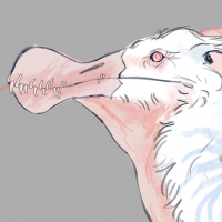 Thumbnail for MYO-CROOK-160