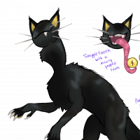 Thumbnail for MYO-CCCAT-1903: Salem