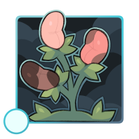 Bean Plant Sprout