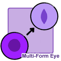Multi-Form Eye
