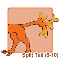 Split Tail (6-10)