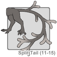 Split Tail (11-15)