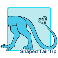 Shaped Tail Tip