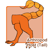 Arthropod Host (Tail)