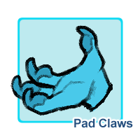 Pad Claws