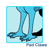 Pad Claws