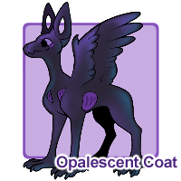 Opalescent Coat