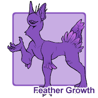 Feather Growth