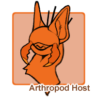 Arthropod Host