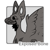 Exposed Bone