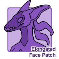 Elongated Face Patch