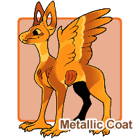Metallic Coat