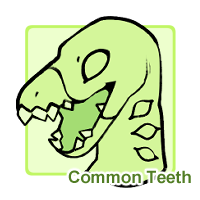 Common Teeth (Crooks)