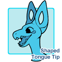 Shaped Tongue Tip