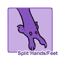 Split Hands/Feet