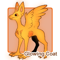 Glowing Coat