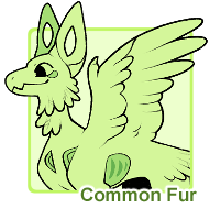 Common Fur (Gravents)