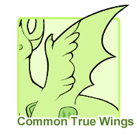 Common True Wings