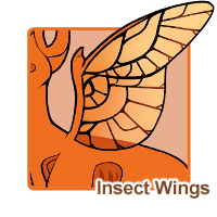 Insect Wings