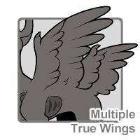 Multiple True Wings