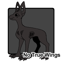 No True Wings