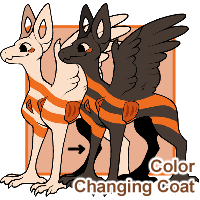 Color-Changing Coat