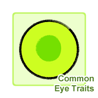 Common Eye (CCCats)