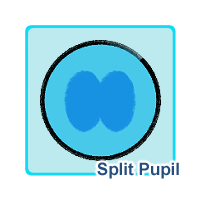 Split Pupil