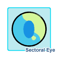 Sectoral Eye